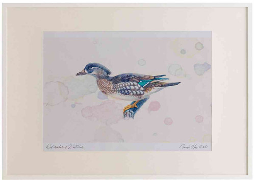 A2 mandarin female.jpg