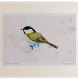 A2 marsh tit