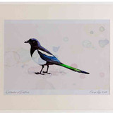 A2 magpie