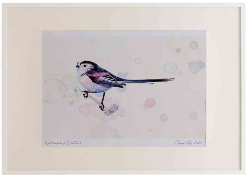 A2 long tailed tit.jpg