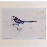 A2 long tailed tit