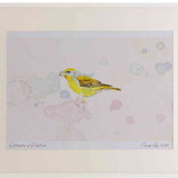 A2 parrot crossbill female