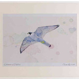 A2 peregrine adult inflight