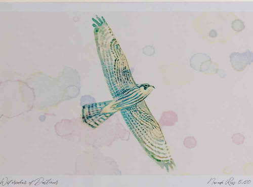A4 hobby juvenile.jpg