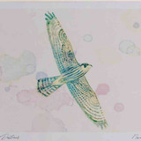 A4 hobby juvenile
