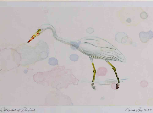 A4 great white egret.jpg