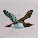 A4 guillemot inflight