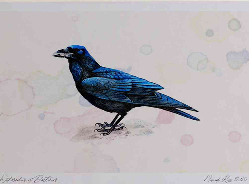 A4 raven.jpg