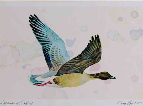 A4 pink footed goose inflight.jpg