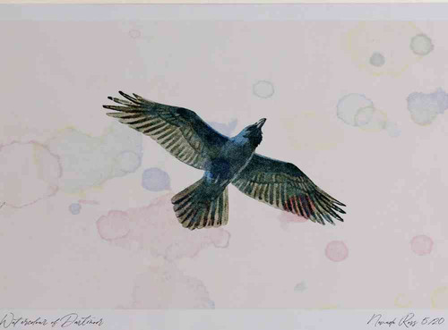 A4 raven inflight.jpg