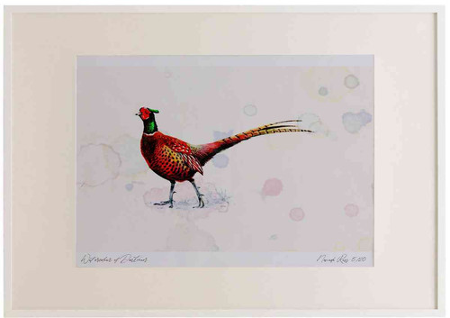 A2 pheasant male.jpg