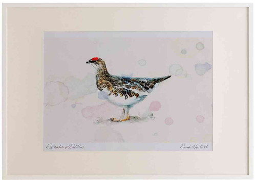 A2 ptarmigan.jpg