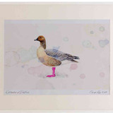 A2 pink footed goose
