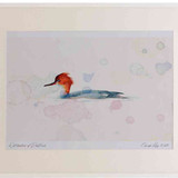 A2 red breasted merganser female