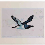 A2 razorbill inflight