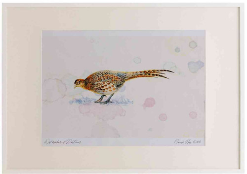 A2 pheasant female.jpg