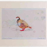 A2 red legged partridge