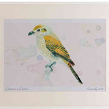 A2 red backed shrike female