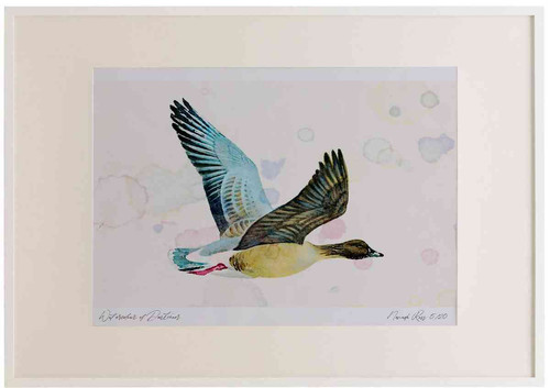 A2 pink footed goose inflight.jpg