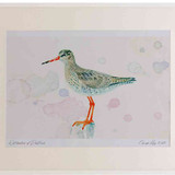 A2 redshank breeding plumage