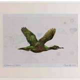 A2 shag inflight