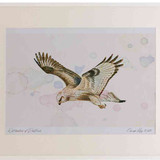 A2 rough legged buzzard
