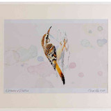 A2 short toed treecreeper
