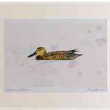 A2 shoveler female