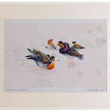 A2 ruffs summerplumage