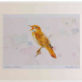 A2 savi s warbler