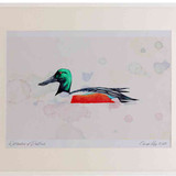 A2 shoveler male