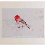 A2 scarlet rosefinch male