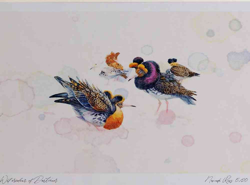 A4 ruffs summerplumage.jpg