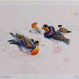 A4 ruffs summerplumage