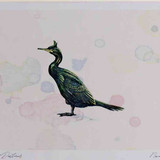 A4 shag