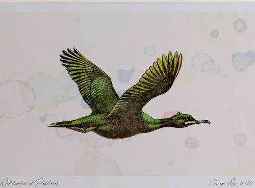 A4 shag inflight.jpg