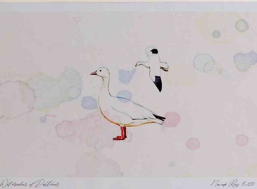 A4 snow goose.jpg