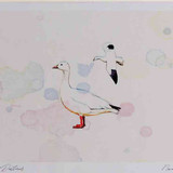 A4 snow goose