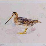 A4 snipe