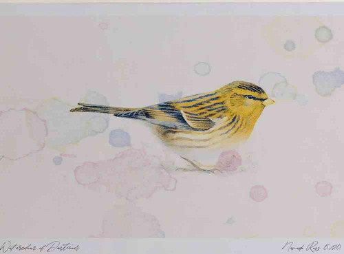 A4 twite.jpg