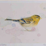 A4 twite