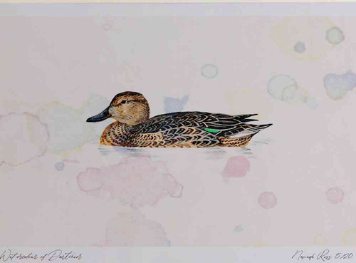 A4 teal female.jpg
