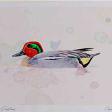 A4 teal male