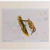 A2 Treecreeper 2