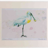 A2 spoonbill adult