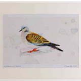 A2 turtle dove