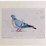 A2 stock dove