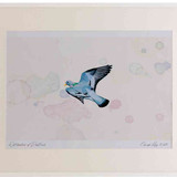 A2 stock dove inflight