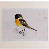 A2 stonechat male