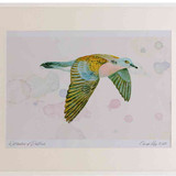 A2 turtle dove inflight